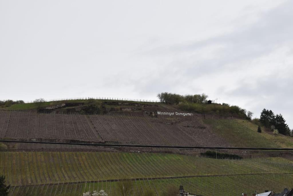 Kleine Auszeit Im Alten Weingut Apartment Winningen Exterior photo